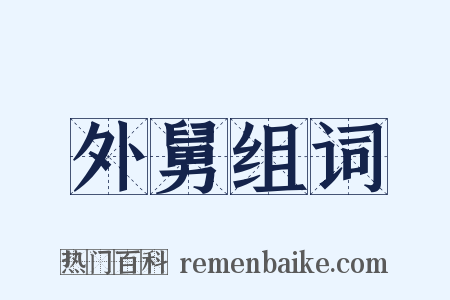 外舅组词是什么意思的图片